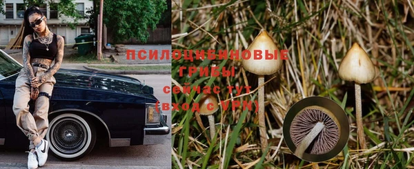 крисы Арсеньев