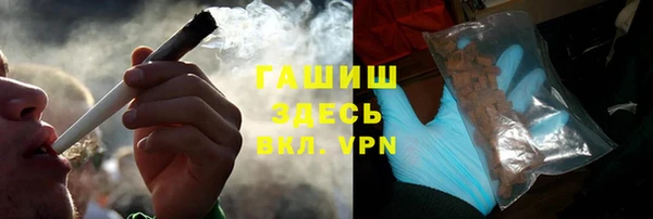 сатива Армянск